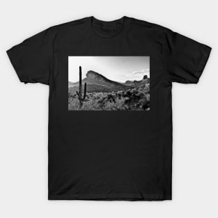 Cactus In The Sun In Black And White T-Shirt